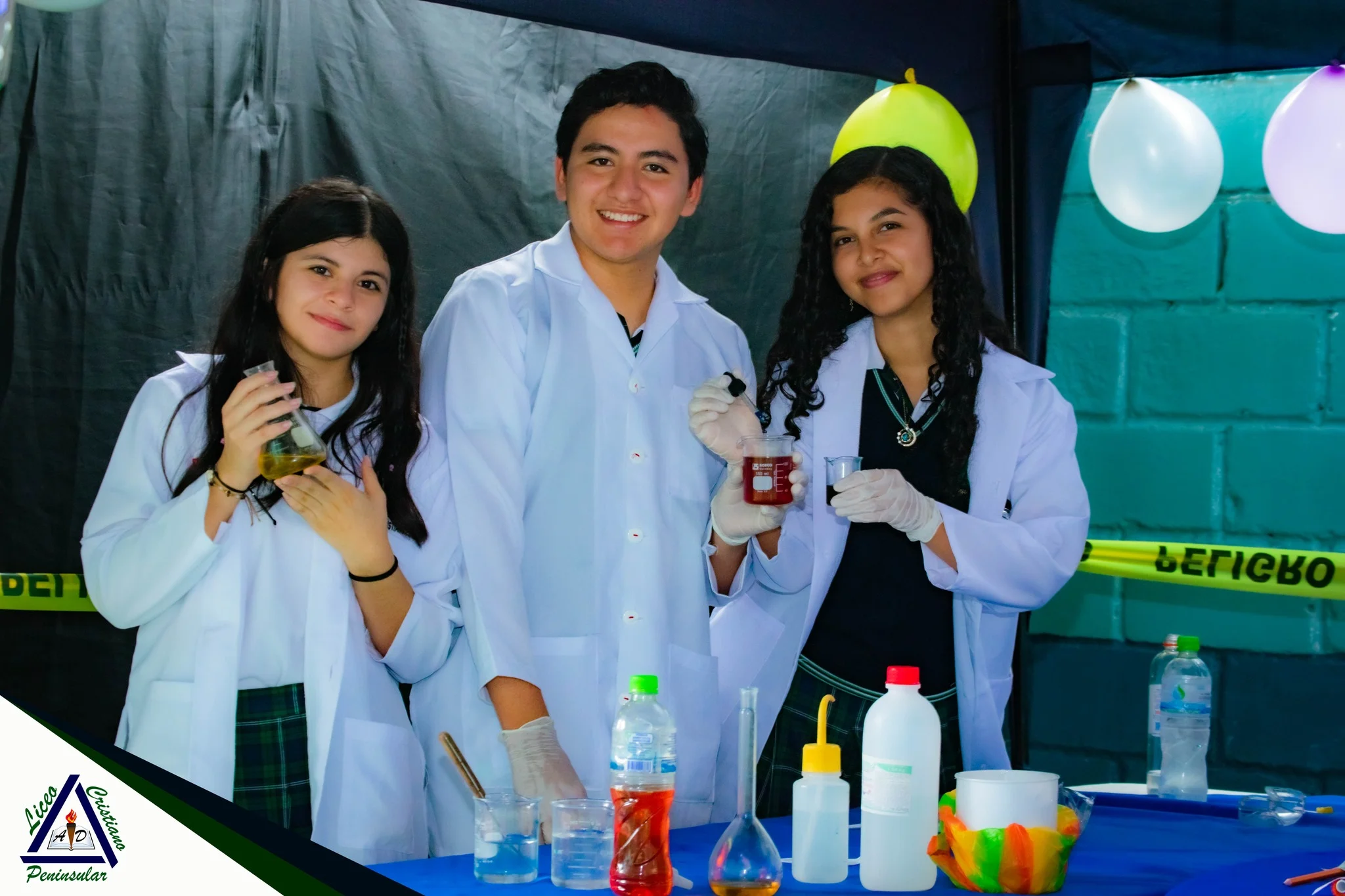 imagen no dsiponible