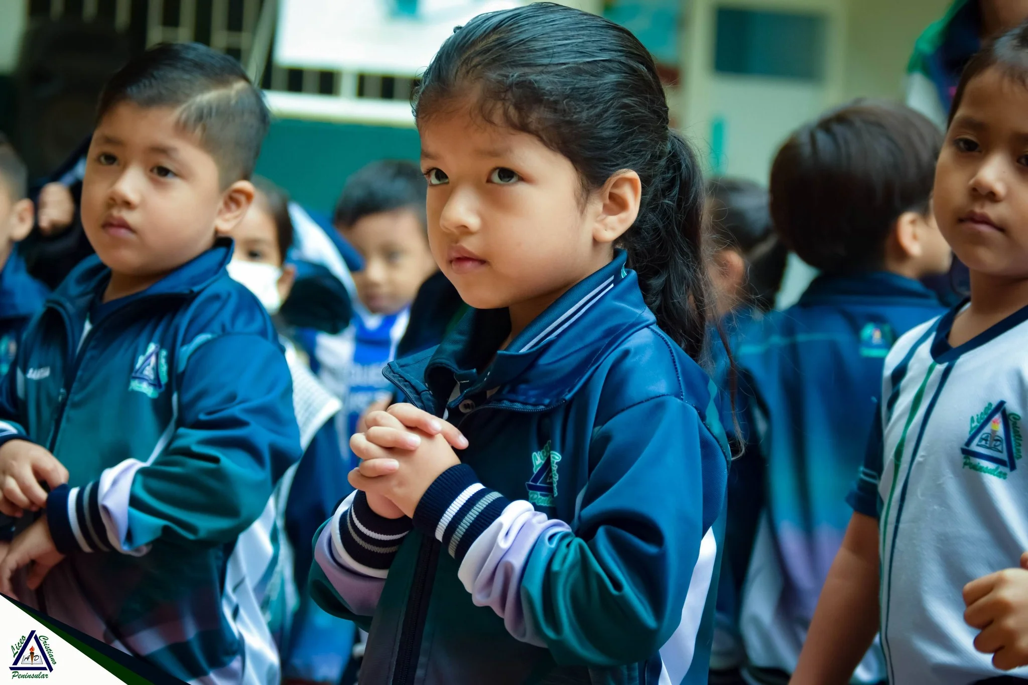 Descripción de la actividad